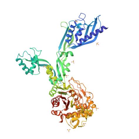 Rcsb Pdb 8f3v Crystal Structure Of Penicillin Binding Protein 5