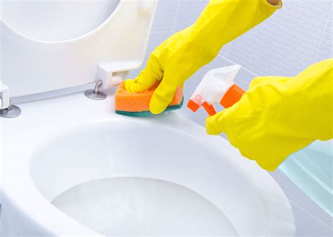 Tips For Removing Rust Stains From Your Toilet Plumber In Mobile