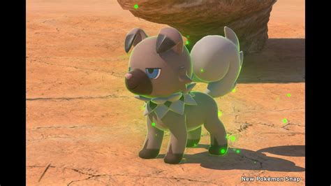 Rockruff Photodex New Pokémon Snap Wiki Grindosaur