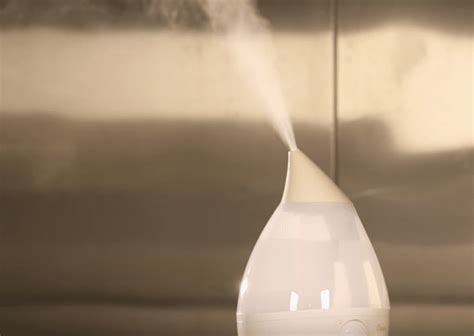 Humidifier Buyers Guide Savvy Home Guide