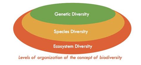 What Is Biodiversity National Biodiversity Centre Bhutan