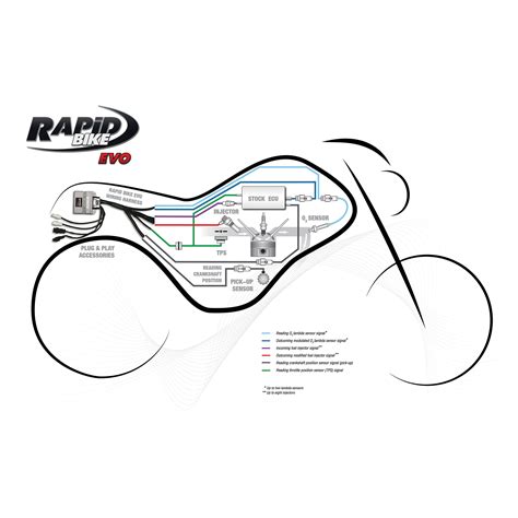 Centralina Rapid Bike Evo Exclusive Kit Per MOTO MORINI X CAPE 650 2021