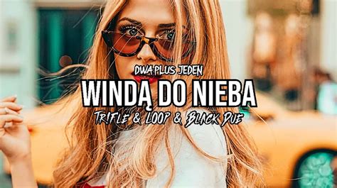 Dwa Plus Jeden Windą Do Nieba Tr Fle LOOP Black Due REMIX