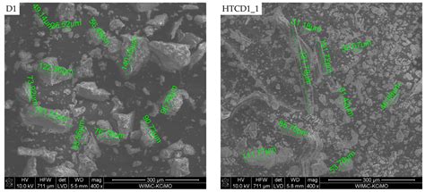 Energies Free Full Text Hydrothermal Carbonization Process Of Digestate From Sewage Sludge