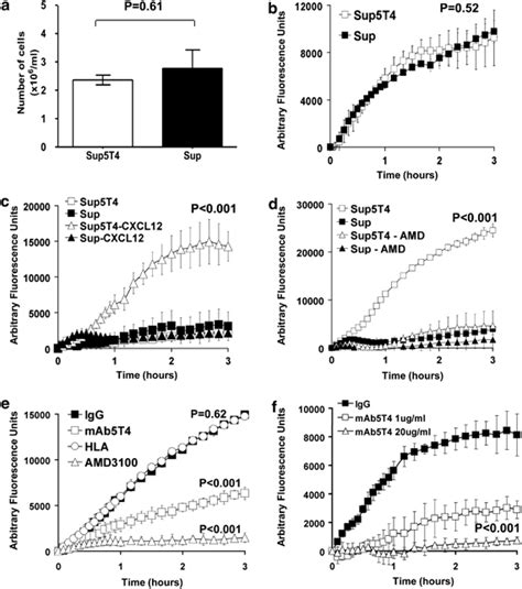 Growth Migration And Cxcl12cxcr4 Mediated Chemotaxis In 5t4 Positive Download Scientific