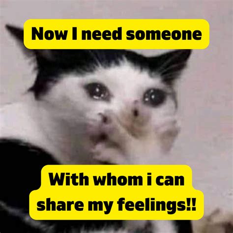 17 Hilarious Crush Memes That Might Point Out Your Reality