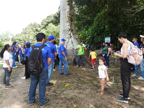 Semana Do Meio Ambiente Melhores Momentos Instituto Soka Amazônia