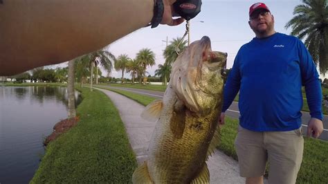 Giant Bass In Neighborhood Pond Youtube