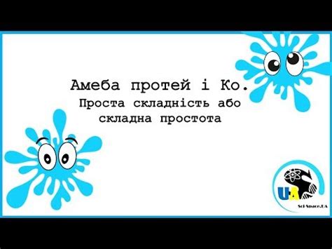 Амеба протей і Ко. Проста складність або складна простота - YouTube