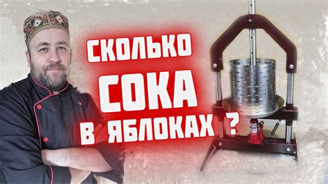Сколько СОКа в килограмме ЯБЛОК ? Яблочный сок в зиму Пресс Добрыня от ...