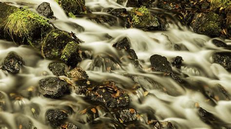 Wallpaper Sunlight Forest Water Rock Nature Branch River