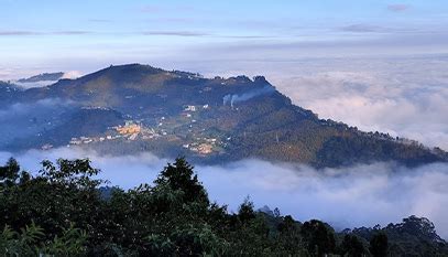 Book Mysore Coorg Ooty Kodaikanal Tour Package Easeotrip