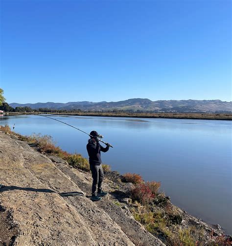 Mastering Striper Fishing on Napa River: Tips and Tactics.