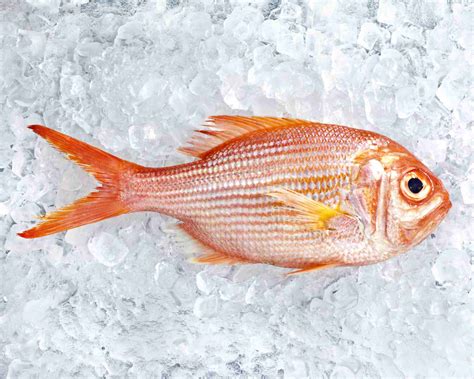 Fish Allergy: Symptoms, Diagnosis and Living Fish-Free