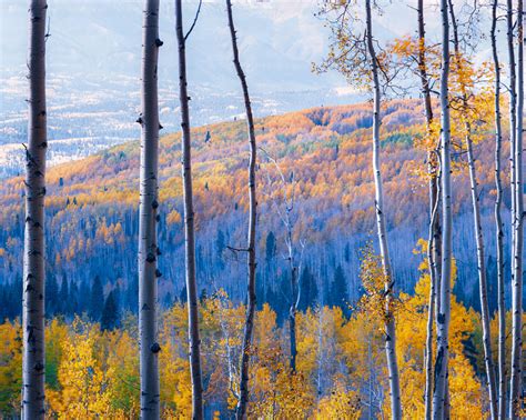 Colorado Fall / Autumn Photography Workshop