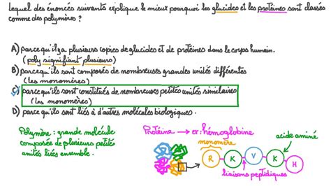 Vid O Question Expliquer Pourquoi Les Glucides Et Les Prot Ines Sont