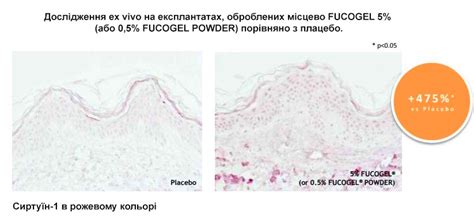 Fucogel Powder (Фукогель) – купити у магазині LAB-KREMOVARA