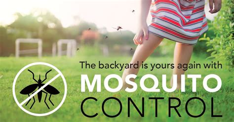 Shreveport Mosquito Control Service Shreveport Property Maintenance