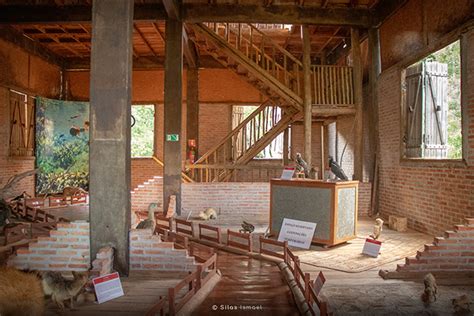 Gruta Catedral São Mateus Bonito MS Passeios em Bonito MS