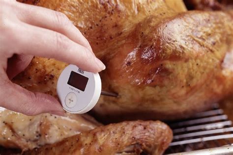 How To Check The Temperature Of A Turkey Cooking Turkey Temperature