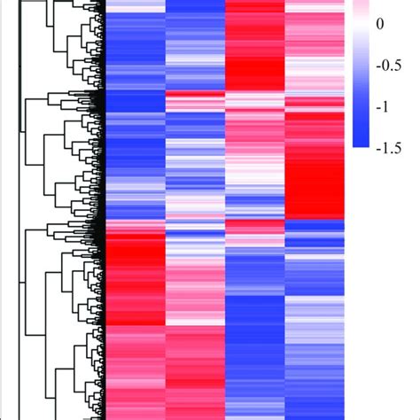 Heatmap And Hierarchical Clustering Of The Differentially Expressed Download Scientific