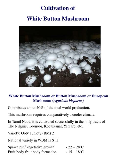 Cultivation Of White Button Mushroom Pdf Compost Manure