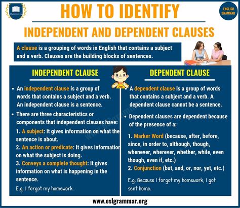 Independent and Dependent Clauses | Definition, Usage & Useful Examples ...