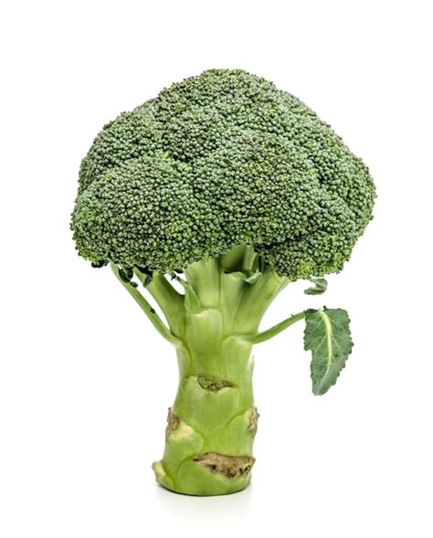 Premium Photo Broccoli Isolated On White Background