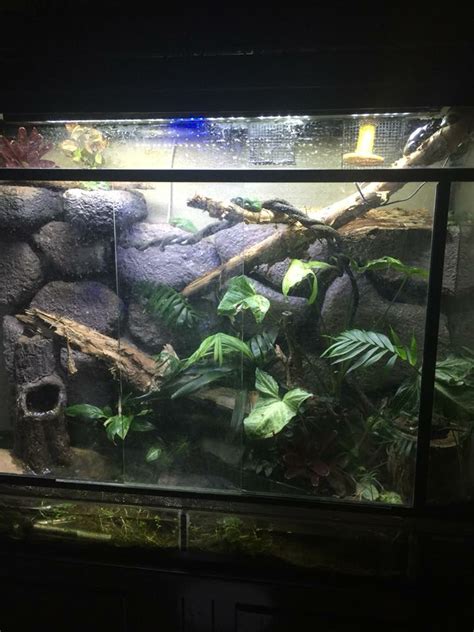 Pin By Dani On Terrarien Reptilien Reptile Tank Snake Tank