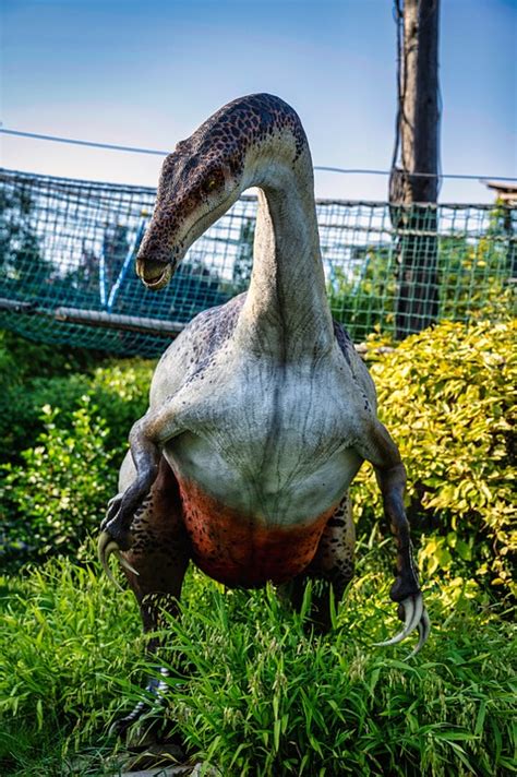 Dinosaurier Saurier Vorgeschichte Kostenloses Foto Auf Pixabay