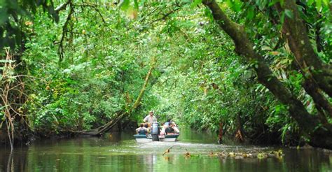 San Jose Tortuguero Park Day Tour With Breakfast Lunch GetYourGuide