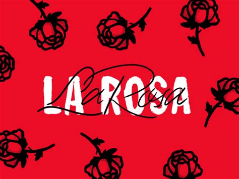 la rosa  chase turberville  focus lab odi  dribbble