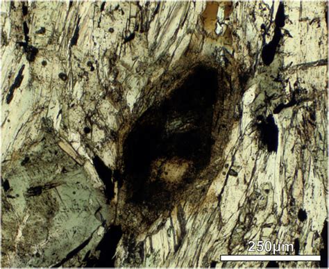 Thin Section Photomicrograph Showing The Relationship Of Euhedral