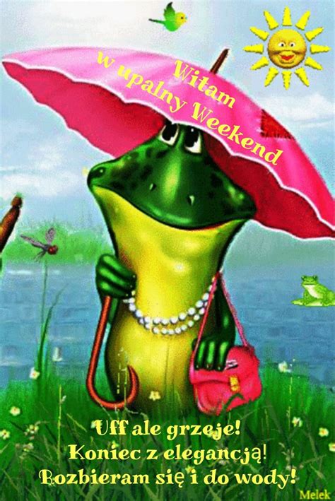 Pin By Izabela Ciesla On Dzie Dobry Good Day Frog Pictures