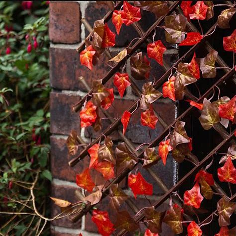 Willow Trellis Autumn Leaf Lemon Fencing Specialist In Essex