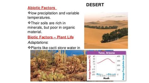 Abiotic Factors In A Grassland