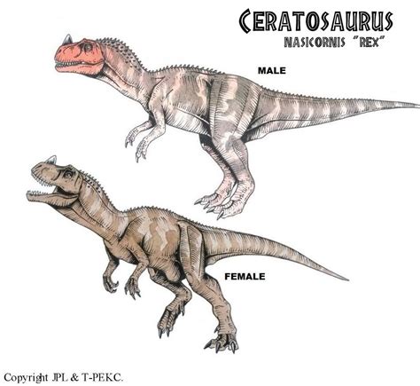 Ceratosaurus Pictures And Facts The Dinosaur Database