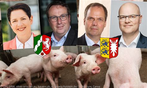 Schweine Net Cdu Landwirtschaftsminister Und Gr Ne Umweltminister In