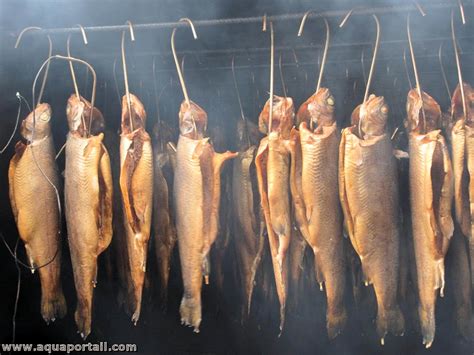 chaussée Témérité paume fumage a froid poisson Facile à lire pack à