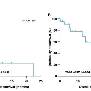 Survival Analysis Of First Line Immunotherapy Treatment In PSC