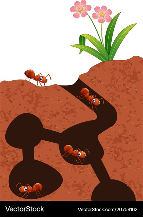 Cartoon ants colony Royalty Free Vector Image - VectorStock