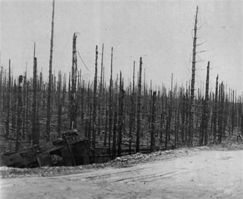 Pin On Battle Of The Bulge Of Hürtgen Forest