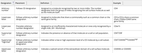 Cluster Of Differentiation Cd Antigens The Science Notes