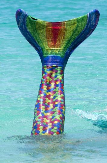 Serena’s Rainbow Reef Mermaid Tail – FinFriends