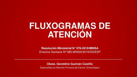 Flujogramas de atención janyra urquiaga uDocz