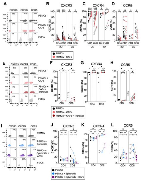 Cancers Free Full Text Chemokine Receptor Expression On T Cells Is