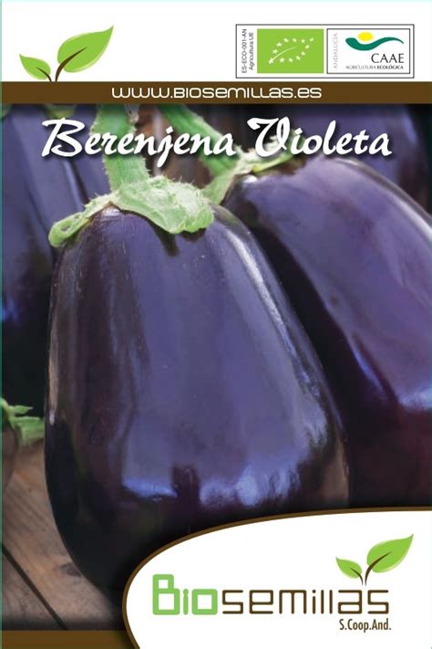 Berenjena Violeta Biosemillas Almer A Coop