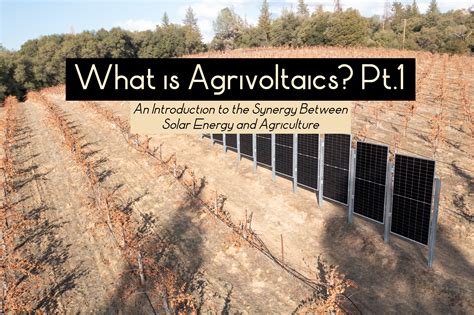 What Is Agrivoltaics Pt Sunzaun