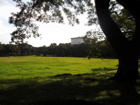 Noble And Ever Loyal City • Up Diliman Sunken Garden It Is Officially