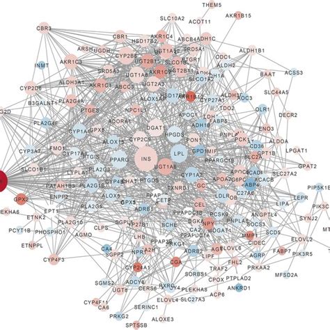 Genes Interaction Network Of Lipid Metabolism Related Degs Red White Download Scientific